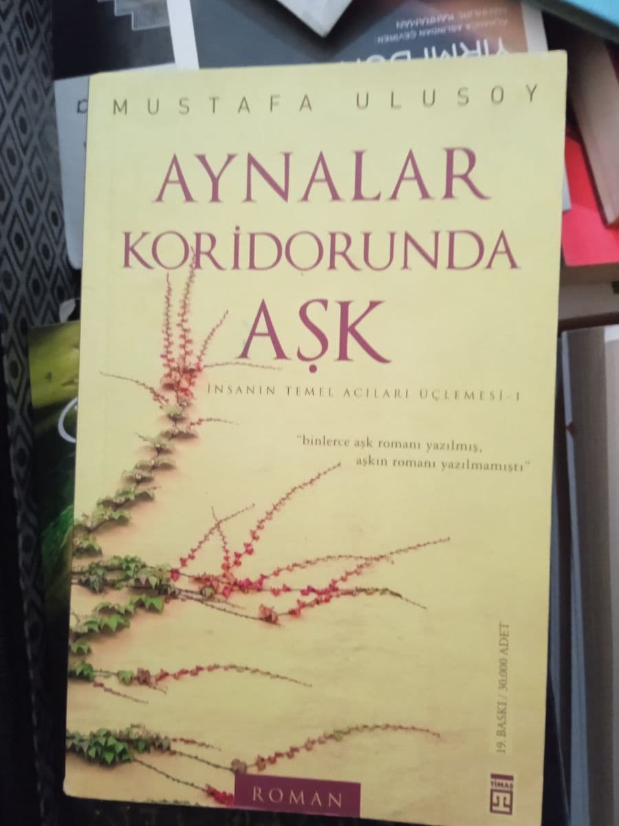 Aynalar Koridorunda Aşk - Mustafa Ulusoy ikinci el kitap