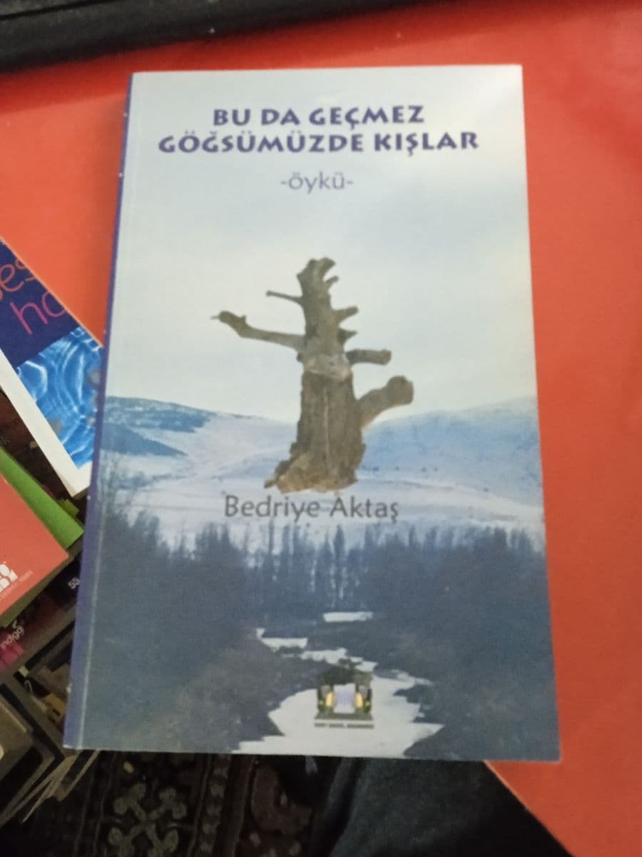 Bu da geçmez göğsümüzde kışlar - Bedriye Aktaş ikinci el kitap