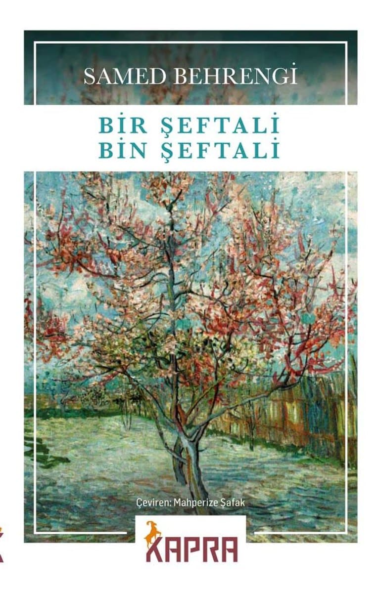 Bir Şeftali Bin Şeftali - Samed Behrengi ikinci el kitap