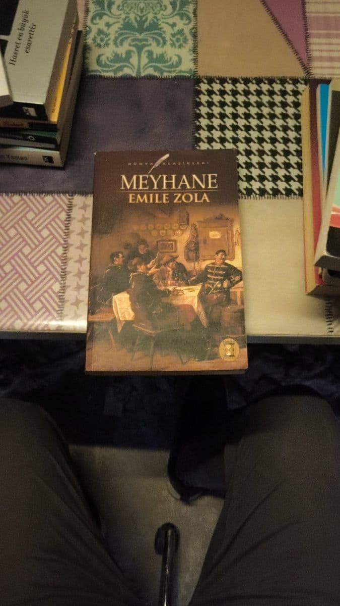 Meyhane - Emile Zola ikinci el kitap