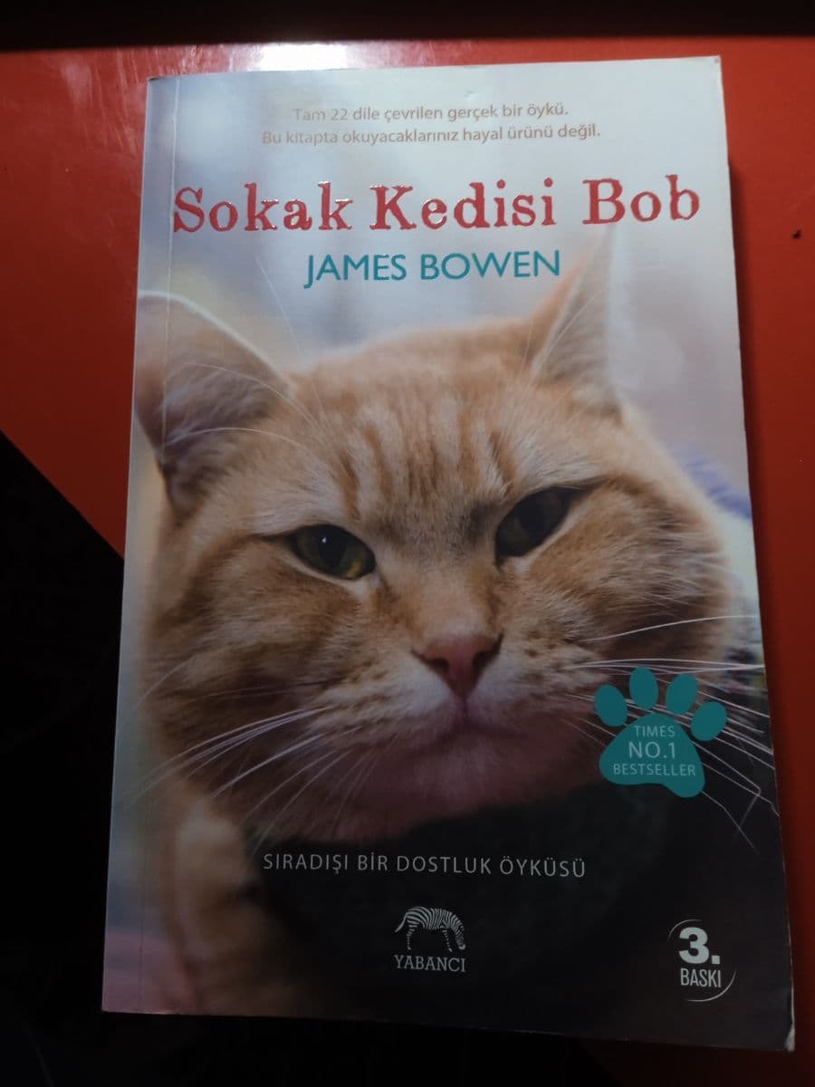 Sokak Kedisi Bob - James Bowen ikinci el kitap