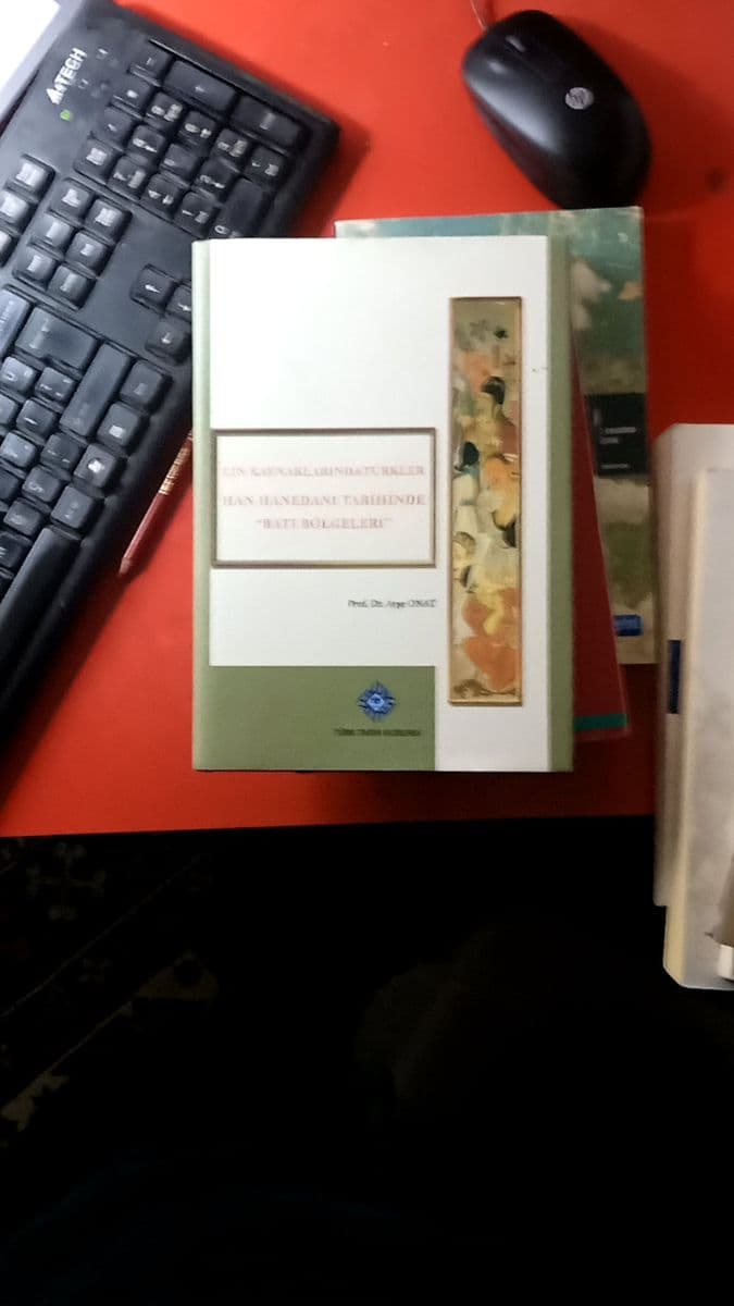 Çin kaynaklarında Türkler han hanedanı tarihinde Batı bölgeleri - Ayşe Onat ikinci el kitap