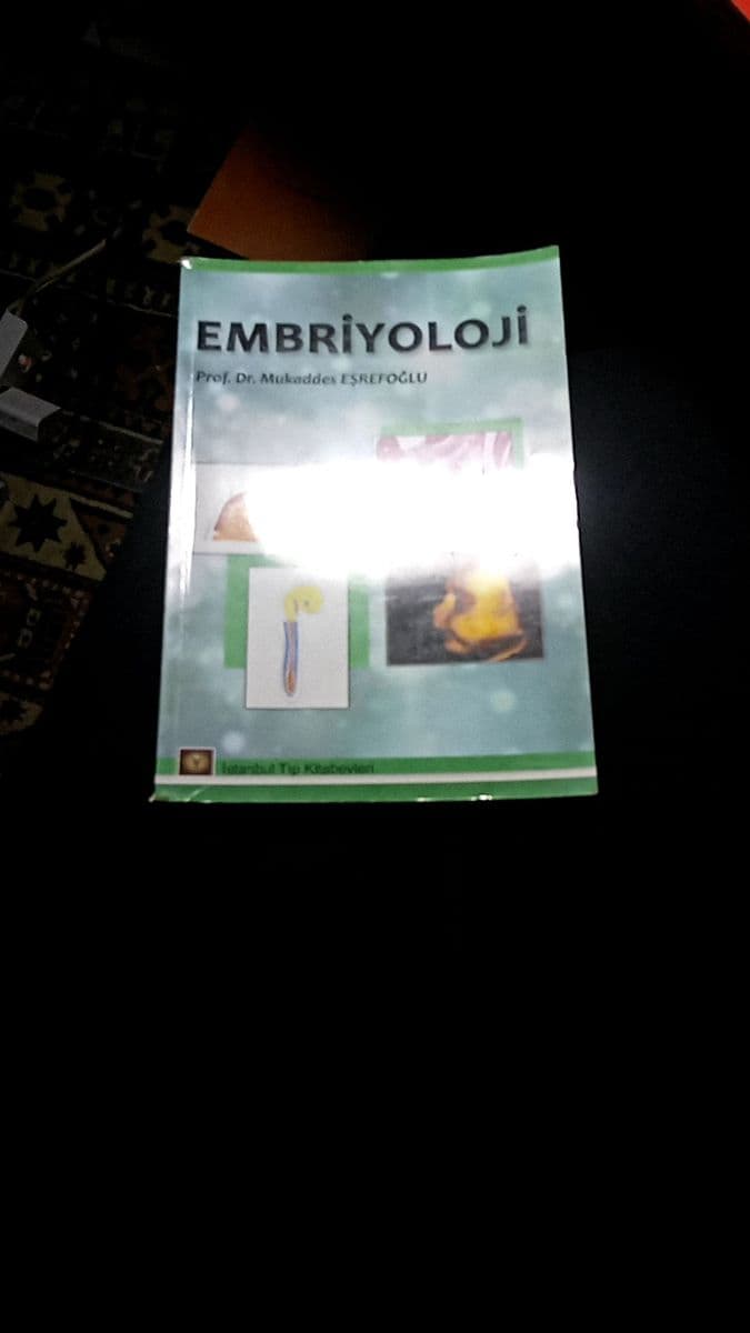 Embriyoloji - Mukaddes Eşrefoğlu ikinci el kitap