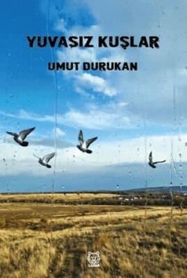 Yuvasız kuşlar - İsmail Yılmaz ikinci el kitap