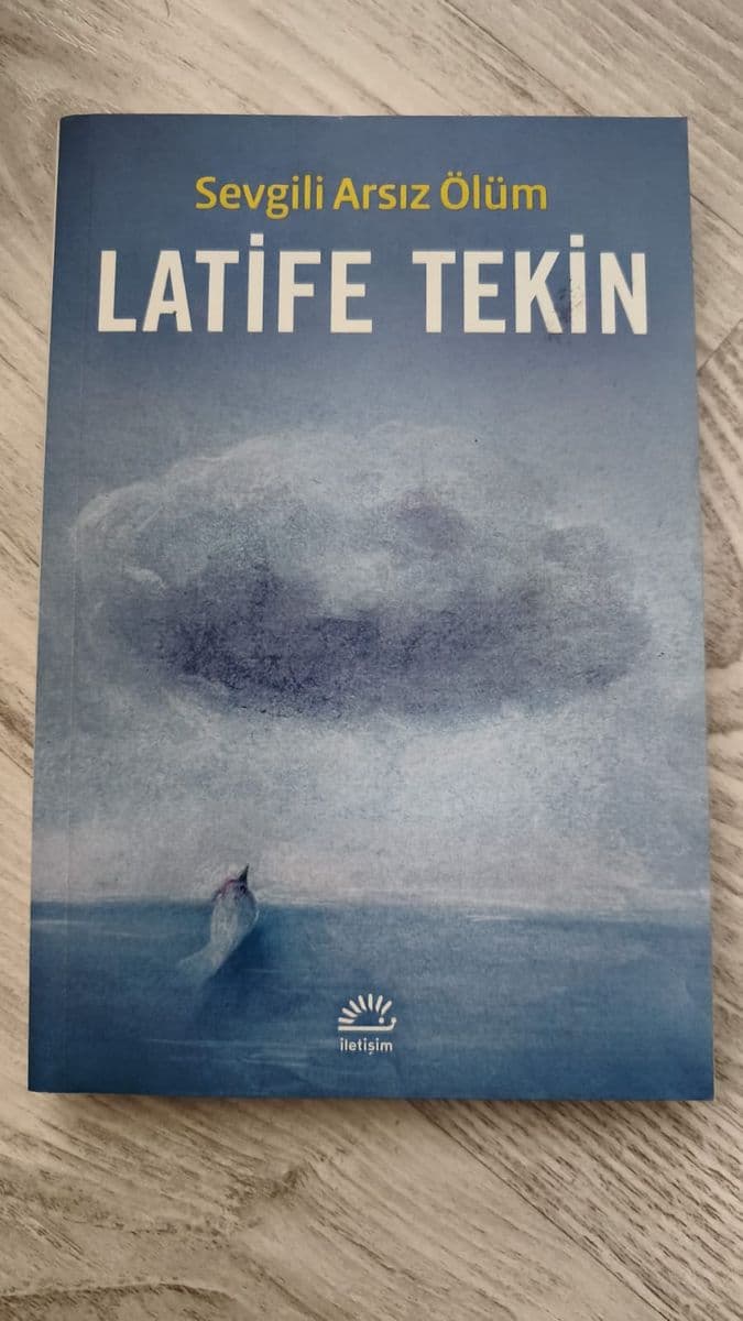 Sevgili Arsız Ölüm - Latife Tekin ikinci el kitap