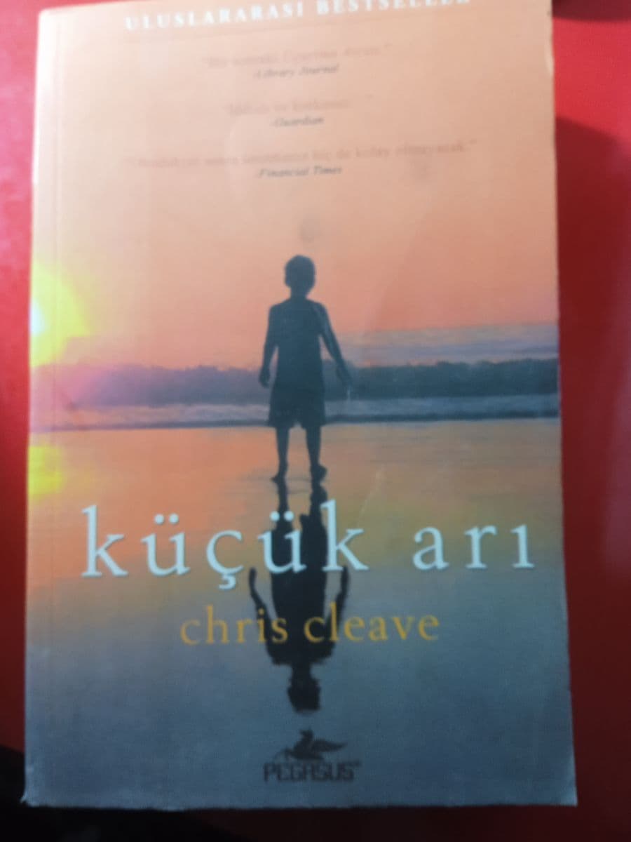Küçük Arı - Chris Cleave ikinci el kitap
