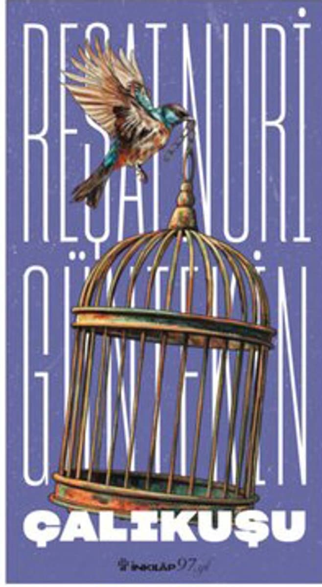 Çalıkuşu - Reşat Nuri Güntekin, Olcay Önertoy ikinci el kitap