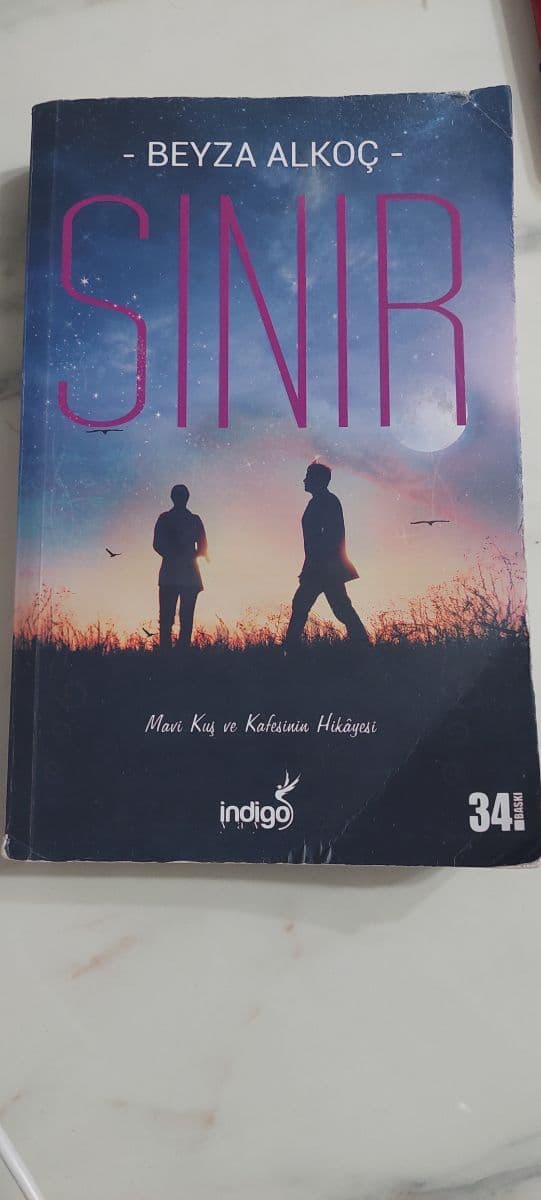 Sınır - Beyza Alkoç ikinci el kitap