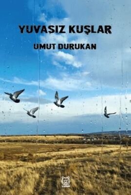 Yuvasız kuşlar - İsmail Yılmaz ikinci el kitap